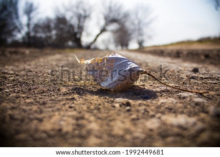 Old leaf on the road
