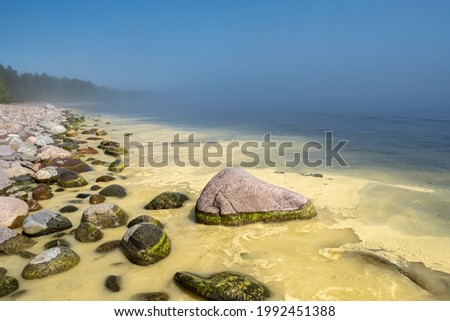 Beautiful landscape at sunrise. Clean, calm sea in the mist and rocky shore in summer morning.