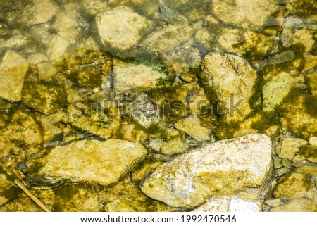 Calm water in the spring pond and stones