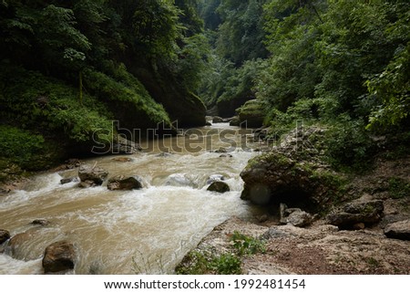 Mountain river, Greenery, wet rocks, rocks and rainforest, summer forest landscape