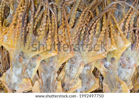 Dry squid on the markets of Western Hong Kong, Sheung Wan, Hong Kong Island, Hong Kong, China