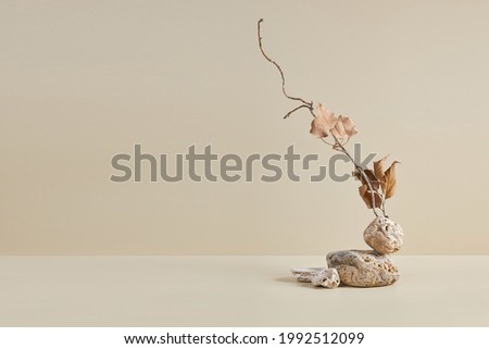 Abstract nature scene with composition of stones and dry branch. Neutral beige background for cosmetic, beauty product branding, identity and packaging. Natural pastel colors. Copy space, front view. Royalty-Free Stock Photo #1992512099
