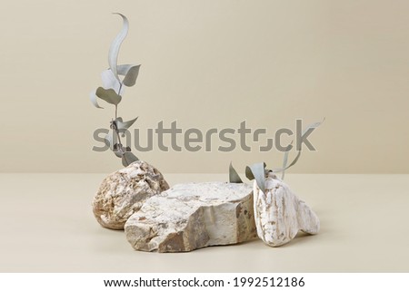 Abstract scene with composition of stones and eucalyptus leaves. Neutral beige podium background for cosmetic or beauty product mockups, branding and packaging. Natural colors. Copy space, front view.