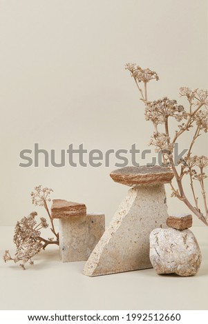 Abstract nature scene with composition of stones and dry flowers. Neutral beige background for cosmetic, beauty product branding, identity and packaging. Natural pastel colors. Copy space, front view.