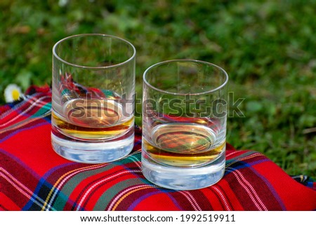 Glasses of Scotch single malt or blended whisky on red tartan on green grass with many white daisy flowers, spring in Scotland