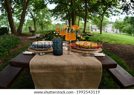A table set in a park. There are wine glasses with an orange drink in them. Picture taken in O’Fallon, Missouri at Zumwalt Park.