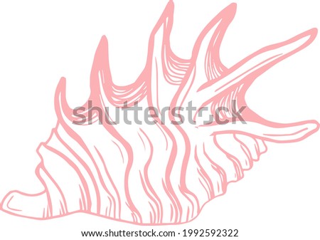 Vector line art sketch pink seashell marine picture in doodle style