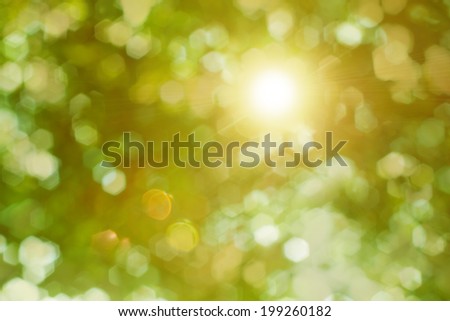 Rays of the sun shining through the trees foliage taken against the light Royalty-Free Stock Photo #199260182