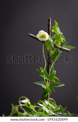 wood cross with green vine and single white flower against black background