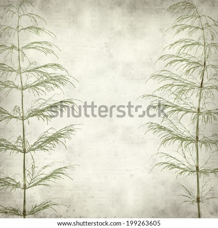 textured old paper background with horsetail plant