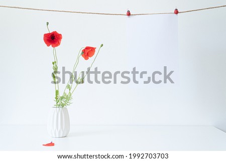 Blank white paper sheet mockup. Hanging sheet with ladybug clothespins on brown rope. White ceramic vase with beautiful wild poppy flowers. Summer still life scene.