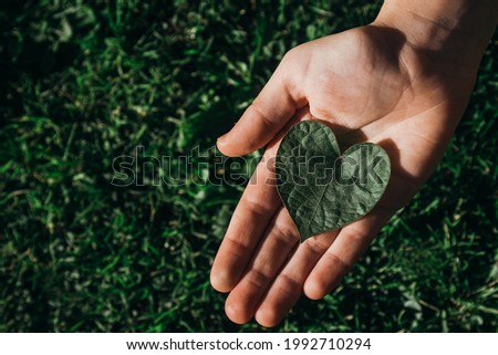 child holding a green leaf in the shape of a heart on a green background.concept of ecology,earth day,care of the environment,eco friendly Royalty-Free Stock Photo #1992710294