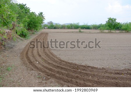 A path of anchors in the plain field. Cultivation started in the field