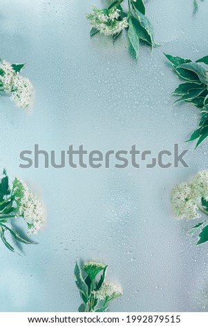Background of silver surface, wet with water drops and white blossom with green leaves placed on the edges. Floral backdrop with drops.