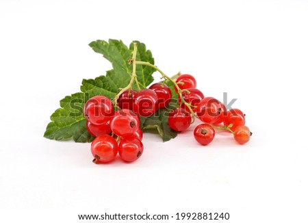 Red currants, fruits and leaf, on white background. Its scientific name is Ribes rubrum. Royalty-Free Stock Photo #1992881240