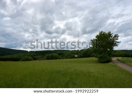 A panoramic photo of the landscape in the Vulkaneifel, Germany.