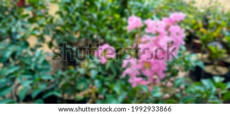 Defocused abstract background of flower garden