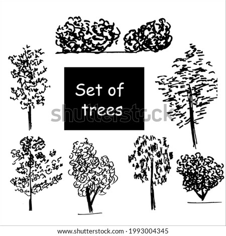 Set of trees vector illustration. Black trees doodles isolated on white background.