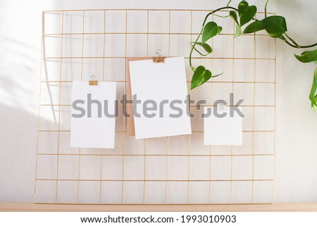 Paper mock ups on gold grid board attached with golden binder. Minimal design of workplace, three different sheets, vertical and square card, poster template. Branch of home plant liana, sunlight