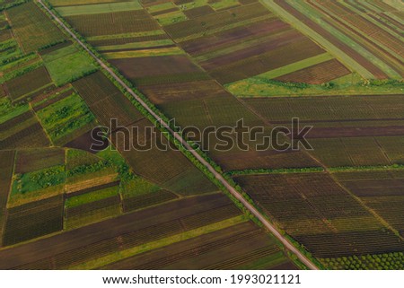 Aerial View Road Agriculture Field vineyard in Summer Day. Road on Countryside Asphalt. footage of landscape with asphalt freeway between meadow and rural field.