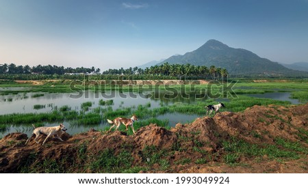 Beautiful landscape with mountain and blue sky background in Nagercoil. Tamil Nadu, South India.