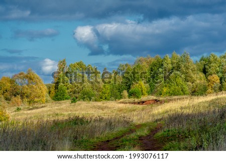 Autumn landscape photo. Flat flora of Europe. Meadows, ravines, thickets, open deciduous or mixed forest. Meadows in September