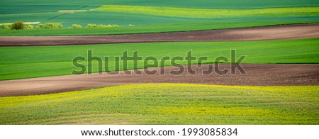 Wavy agricultural field of Moravian Tuscany