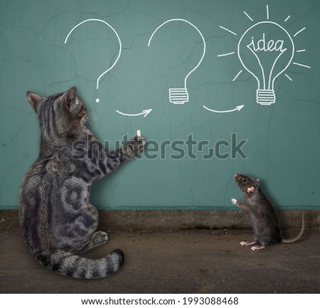 A gray cat paints bulbs in chalk on the wall.