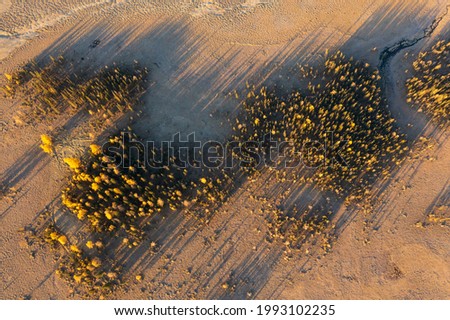 Autumn forest, abstract nature picture. Admire the virgin forests of Siberia, Russia from the air.