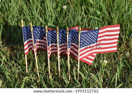 American flags in a yard