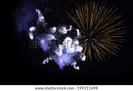 beatiful firework explosion in the night sky