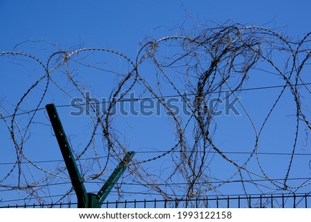 Barbed wire and freedom . High quality photo