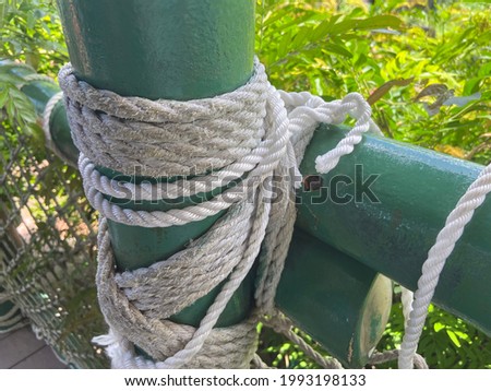 Photo: Bamboo with ropes around