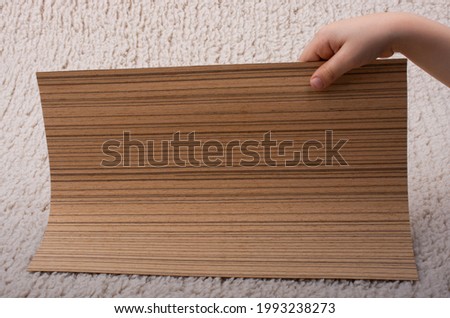 A person holding a blank wooden board in hands