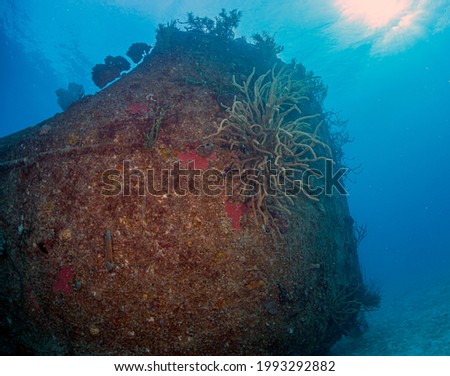 Caribbean coral reef small ship wreck off the coast of the island of Roatan