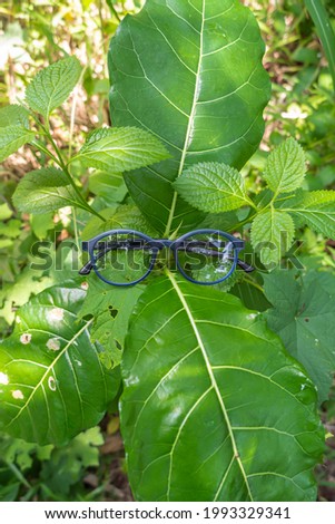 blue round glasses on a leaf. round glasses in the photo from above with a natural landscape in the background

