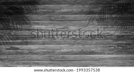 Shadow palm trees on old wooden wall background
