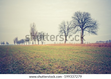 vintage photo of autumn field with trees
