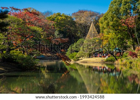 Autumn Rikugien Garden Autumn in Tokyo