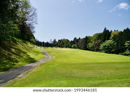 The fairway at Japanese golf course in Shizuoka.