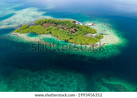 Tropical Island Aerial View. Wild coastline lush exotic green jungle and mangroves. Bastimentos Island, Bocas del Toro, Central America, Panama. Royalty-Free Stock Photo #1993456352