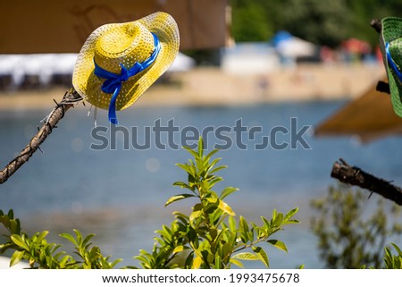 Yellow straw hat with a blue ribbon hanging on a tree branch next to a beach on a summer day