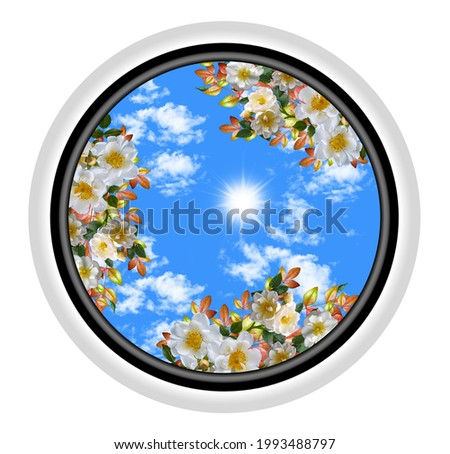beautiful blue sky with white flowers in 3d circle frame. for stretch ceiling
