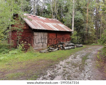 A very Old house in the forest