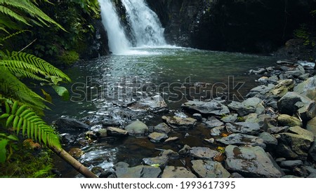 Picture of waterfall with rocks among tropical jungle with green plants trees and river.