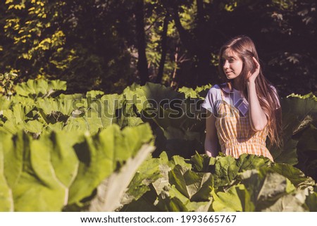Slim figure girl with long brunette hair stands among the green large leaves of burdocks