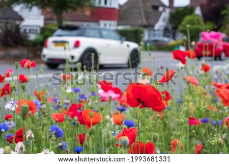 Colourful wild flowers, including pink and red poppies and cornflowers, on a roadside verge in Eastcote, West London UK. Wild flowers are planted to attract insects. Car passes by in the background. Royalty-Free Stock Photo #1993681331