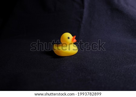 a duck toy in the picture