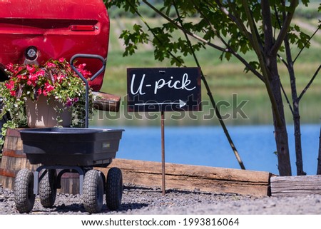 Black "U-Pick" sign with a pointing arrow next to a wheel cart with a lake in the background