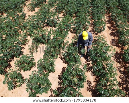 Modern farmers are inspecting agricultural fields in bright sunlight during the day.